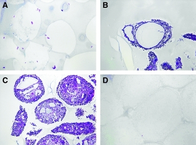 FIG. 9.