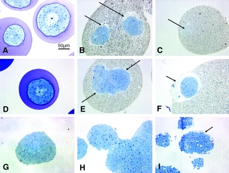 FIG. 8.