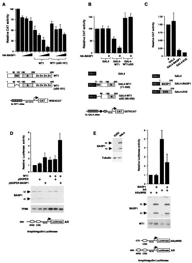 FIG.7.