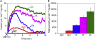 Figure 6