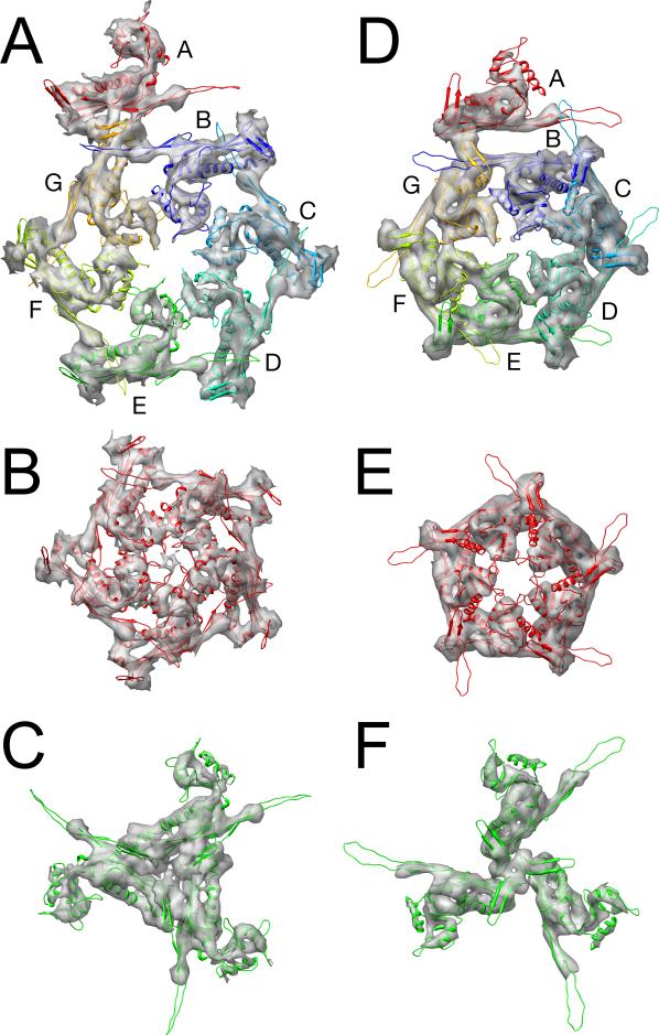 Figure 5