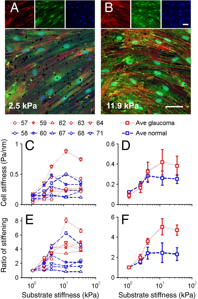 Fig. 4.