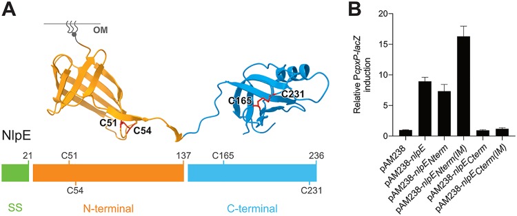 FIG 2