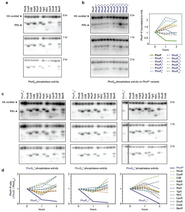 Extended Data Fig. 6.