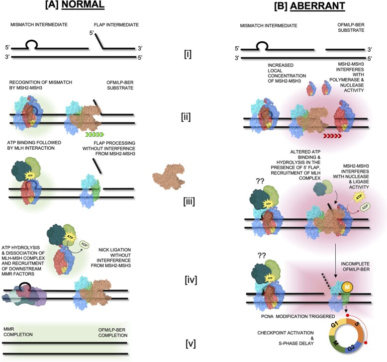 Figure 13.