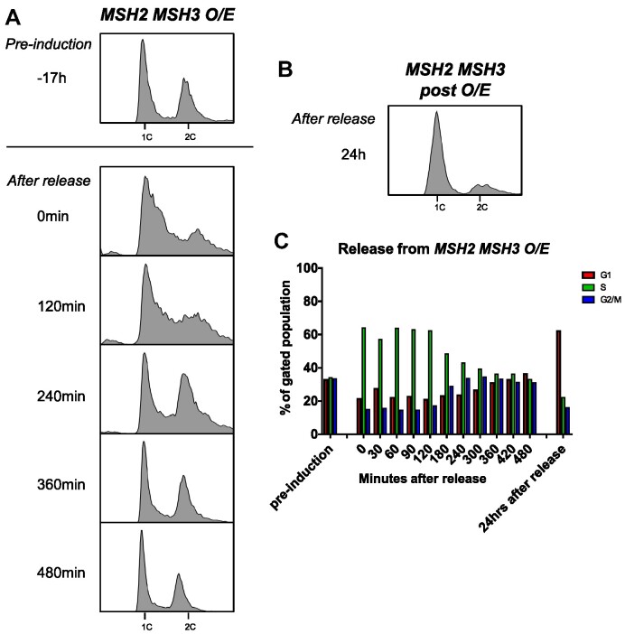 Figure 4.