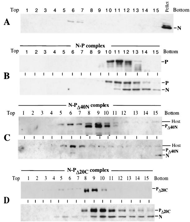 FIG. 5