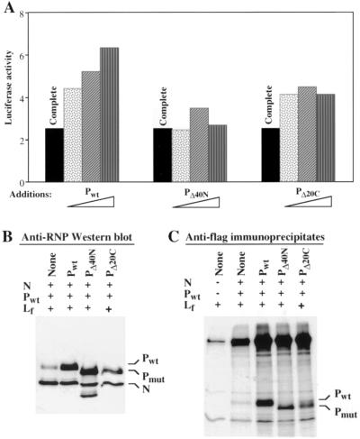 FIG. 7