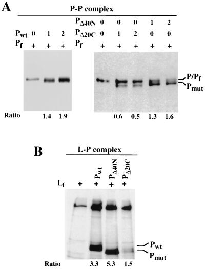 FIG. 6