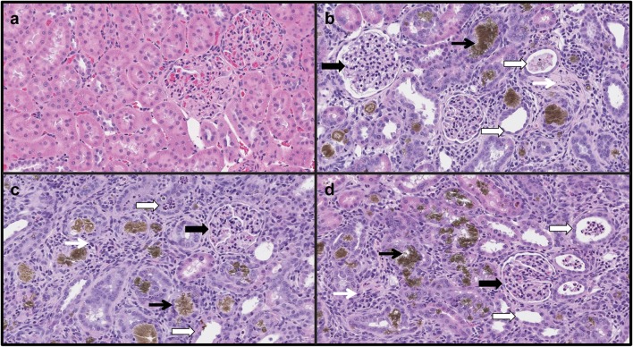 Fig. 3