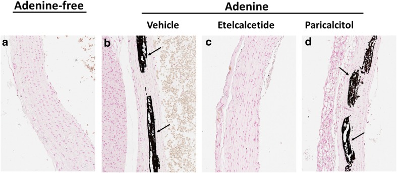 Fig. 6