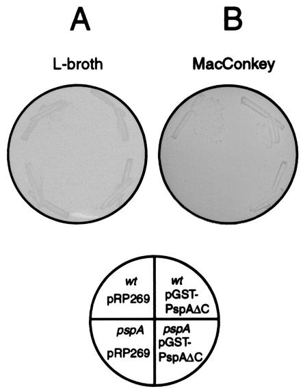 FIG. 5.