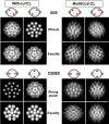 Fig 13