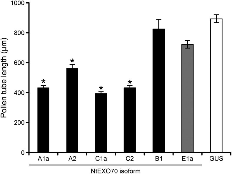 Figure 9.