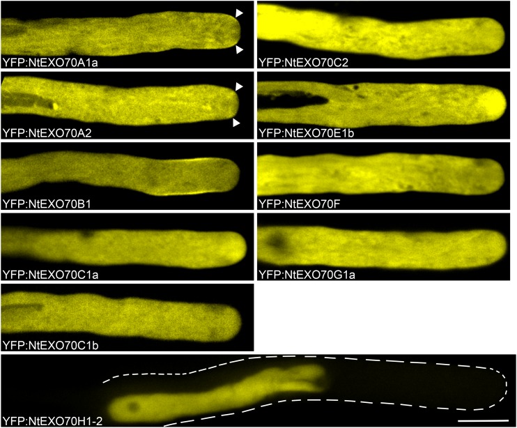 Figure 3.