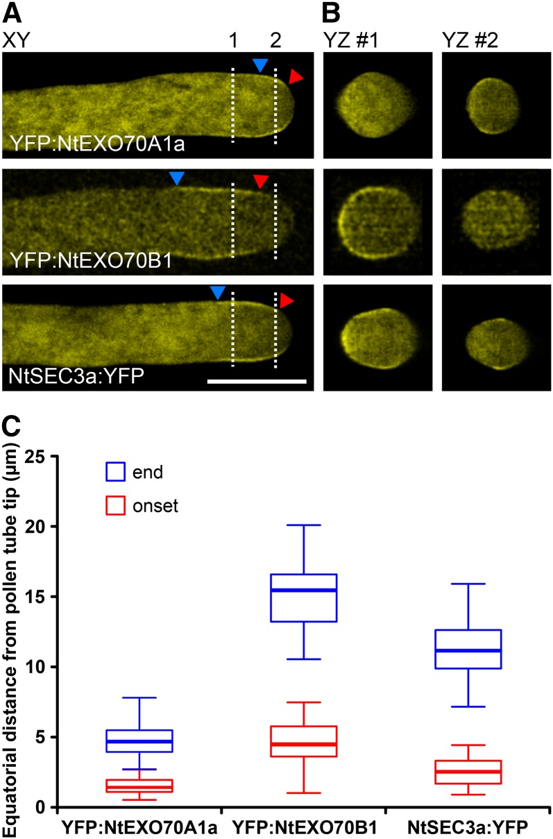 Figure 5.