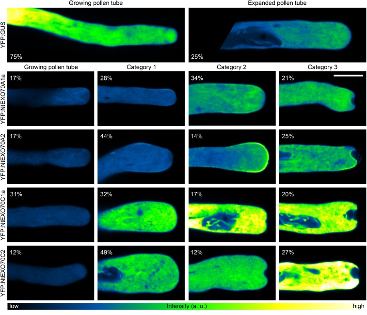 Figure 10.