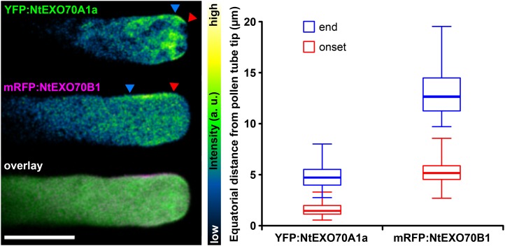 Figure 4.