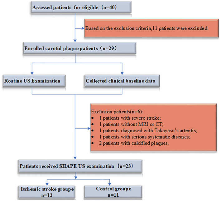 FIGURE 1