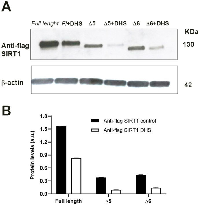 Fig. 8