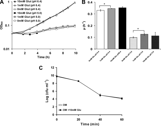 FIG. 1.