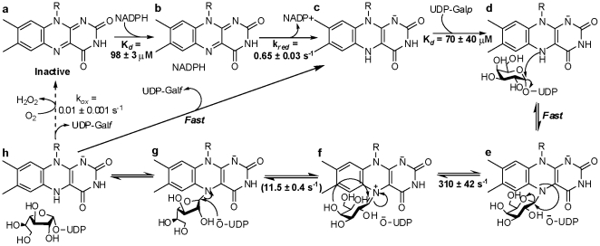 Figure 10