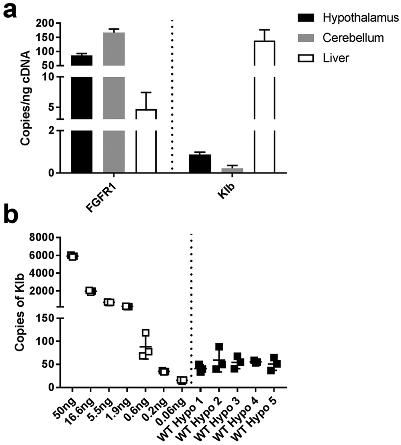 Figure 13.