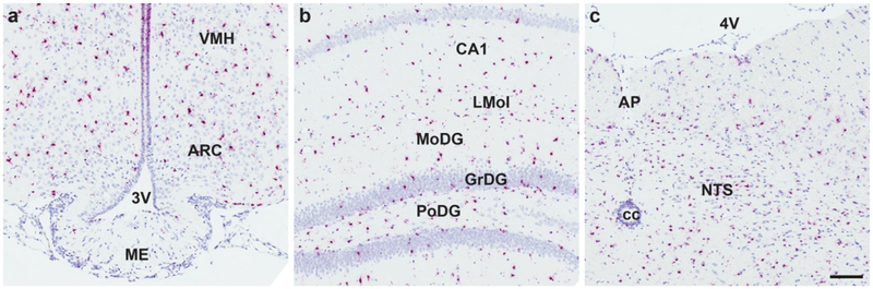 Figure 7.