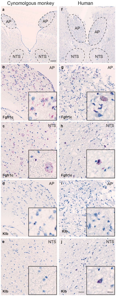 Figure 14.