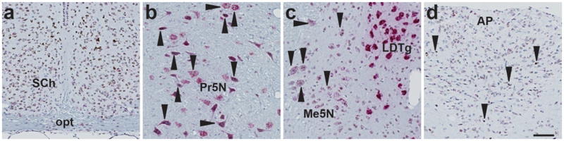 Figure 12.