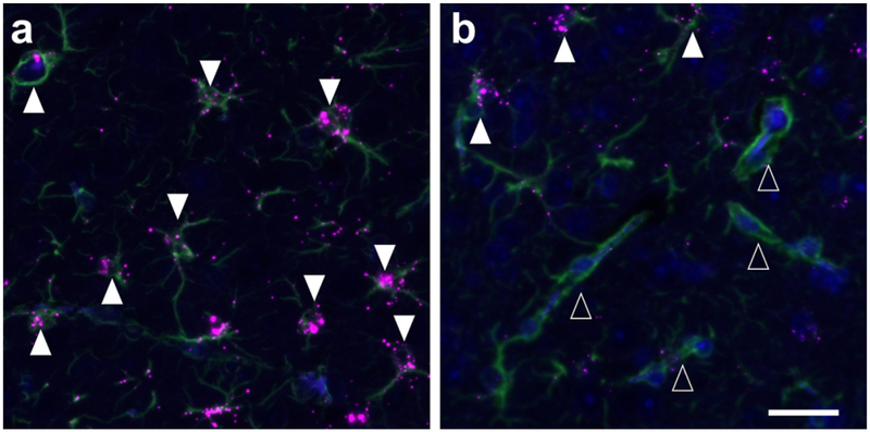 Figure 10.