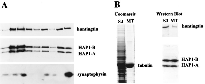 Fig. 11.