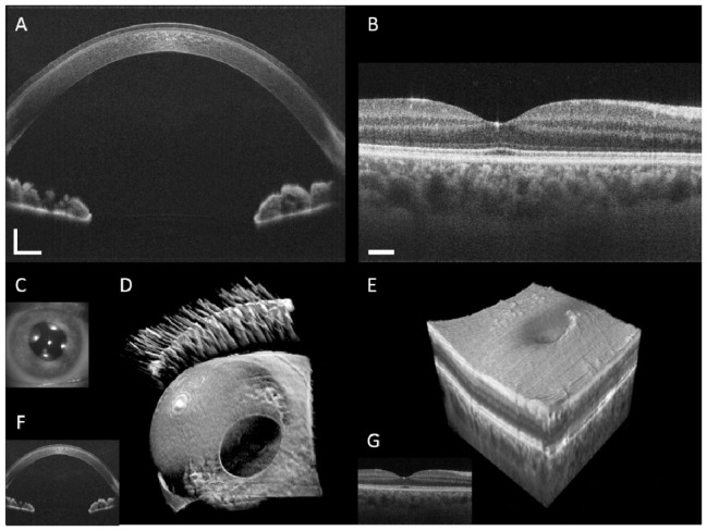 Fig. 10