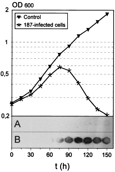 FIG. 5