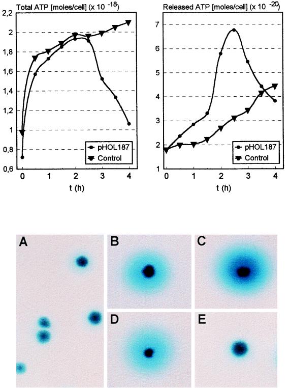 FIG. 6