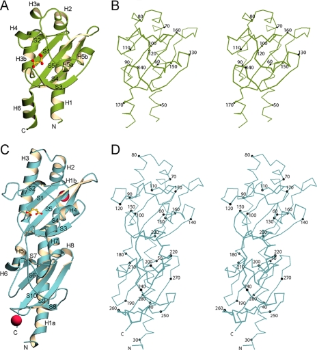 FIGURE 1.