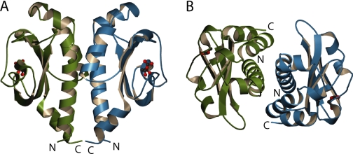 FIGURE 5.