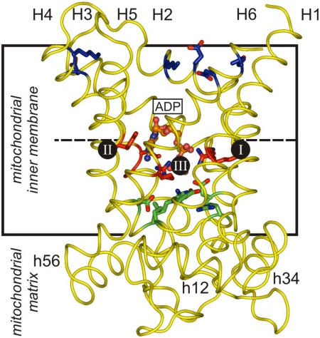 Fig. 3.