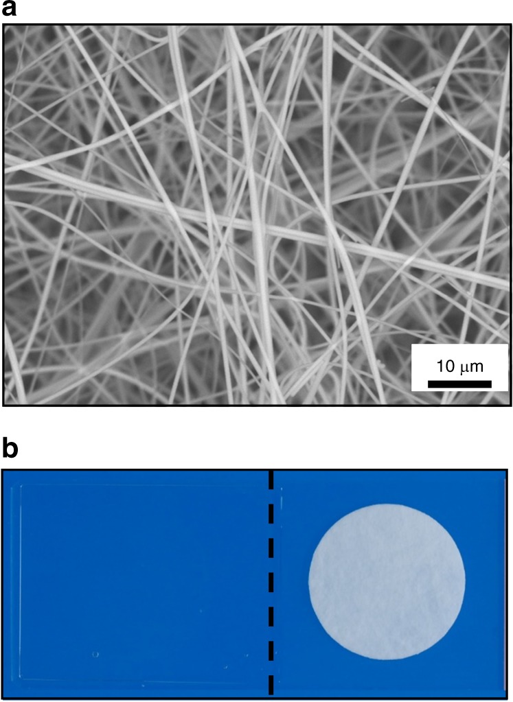 Fig. 8