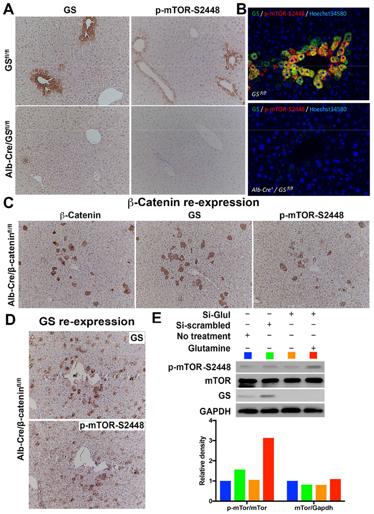 Figure 4: