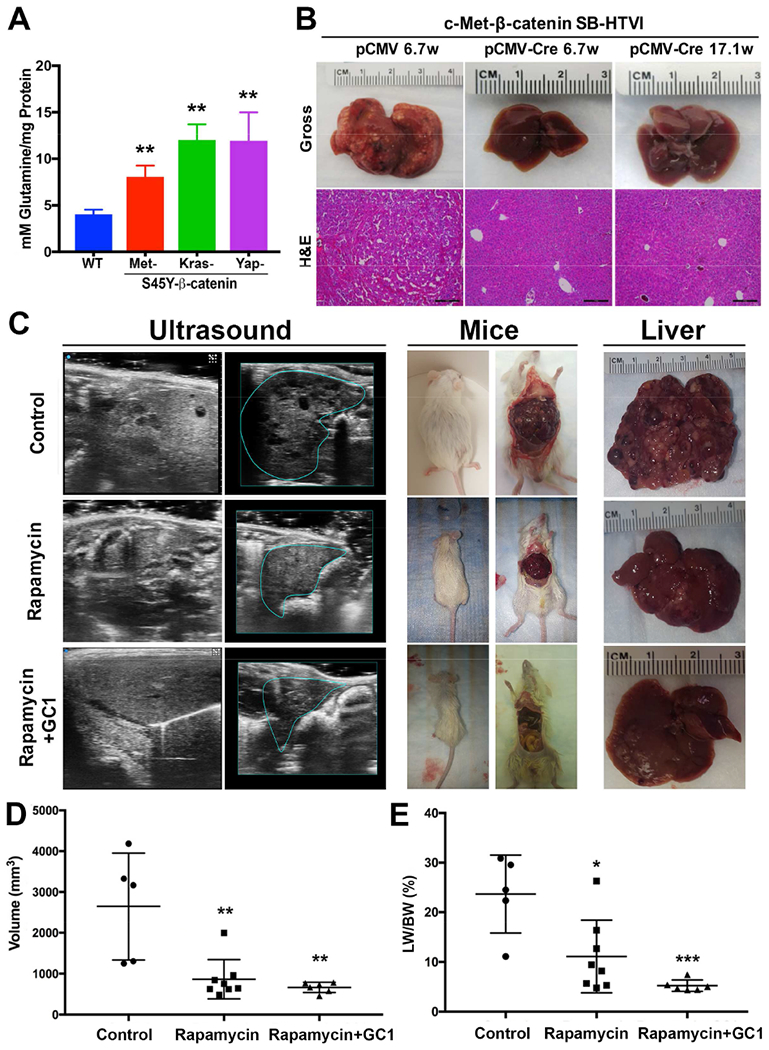 Figure 5: