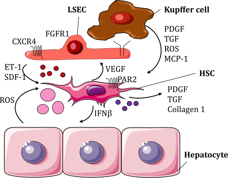 Figure 2: