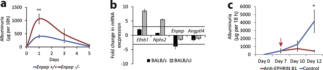 Figure 5: