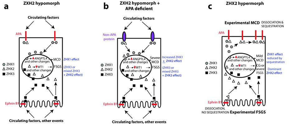 Figure 7: