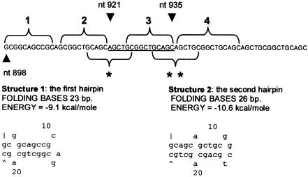 Figure  3