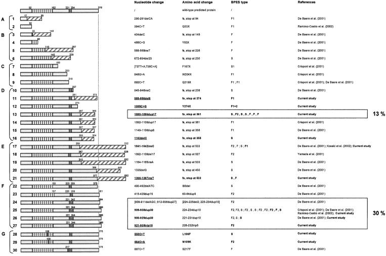 Figure  1