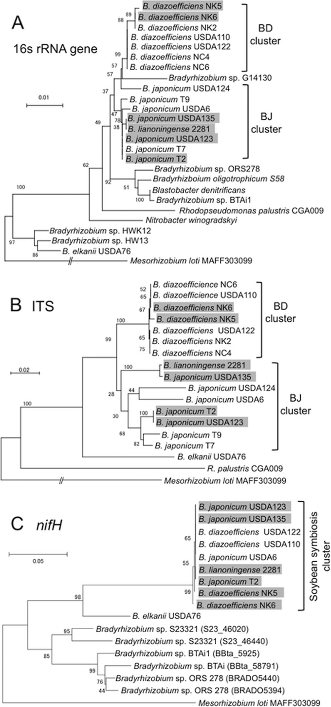 FIG 1