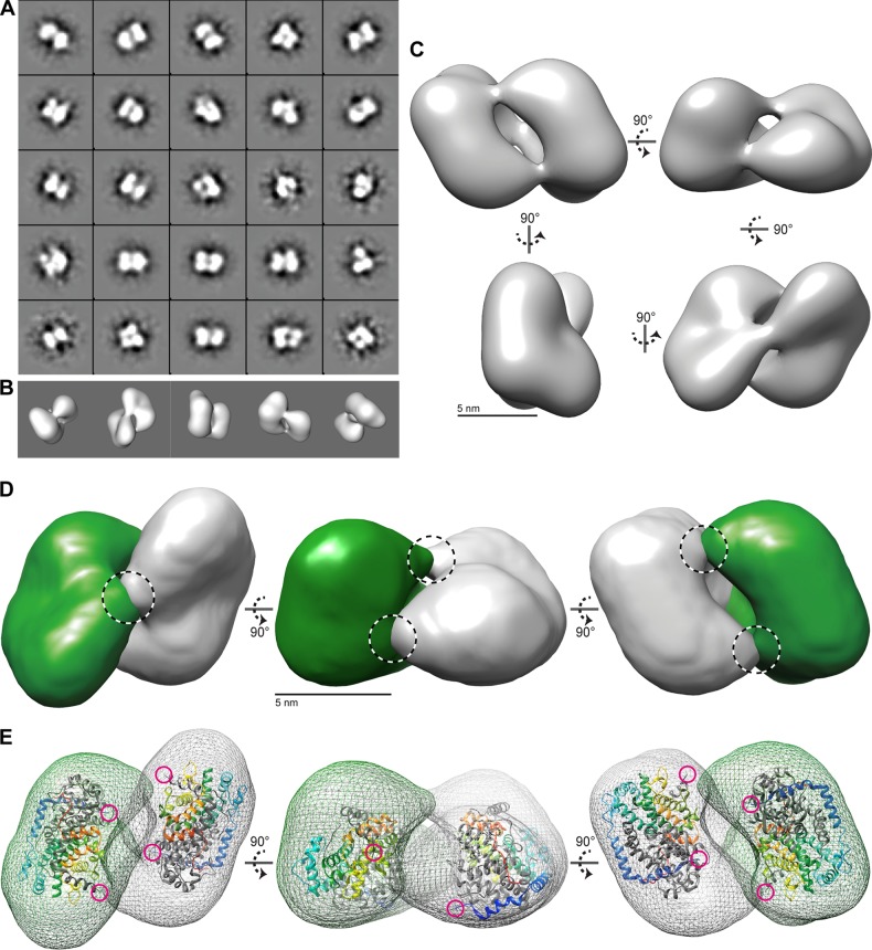 FIG 2 