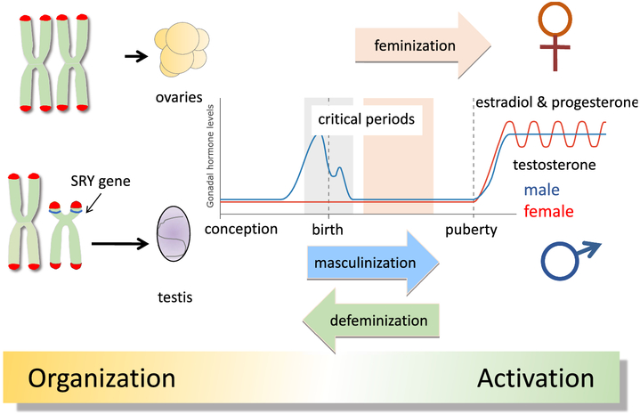 Figure 1: