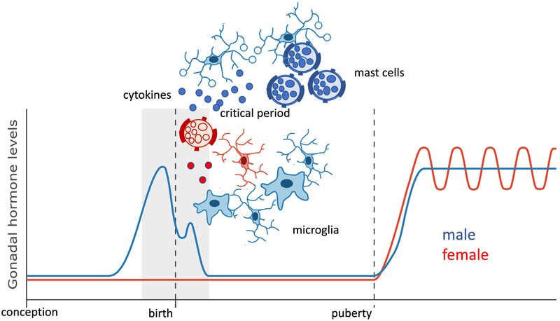 Figure 3: